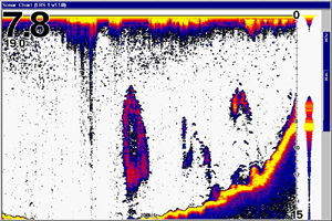 REVIEWED: Lowrance Broadband Sounder